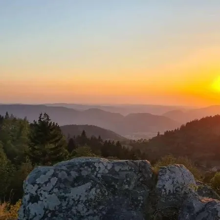 L'échapée Belle Dans Les Vosges *