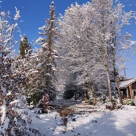 L'echapee Belle Dans Les Vosges * Aydoilles