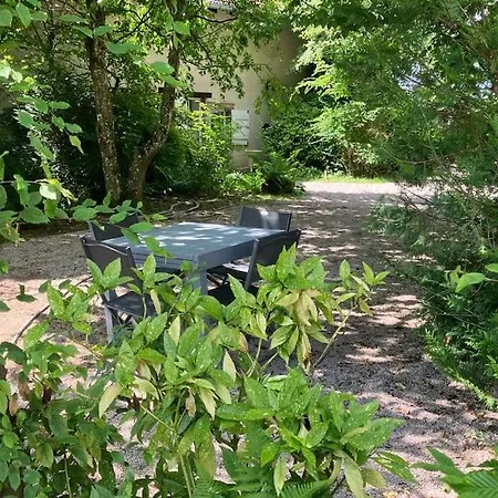 L'echapee Belle Dans Les Vosges