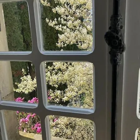 L'echapee Belle Dans Les Vosges Aydoilles