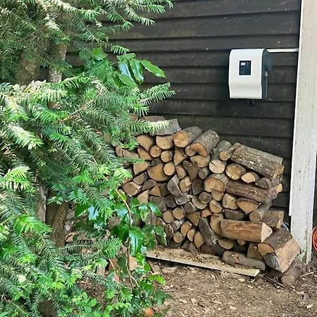 L'échapée Belle Dans Les Vosges *