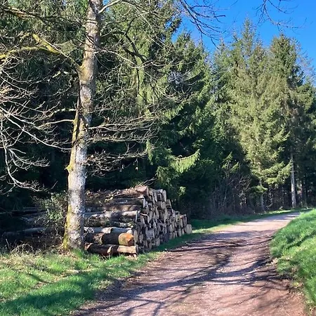 L'échapée Belle Dans Les Vosges Aydoilles