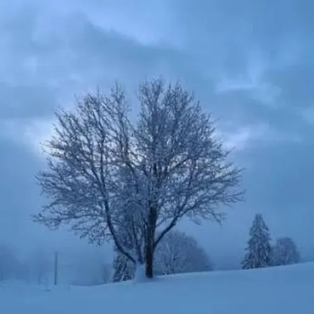 Hébergement de vacances L'échapée Belle Dans Les Vosges