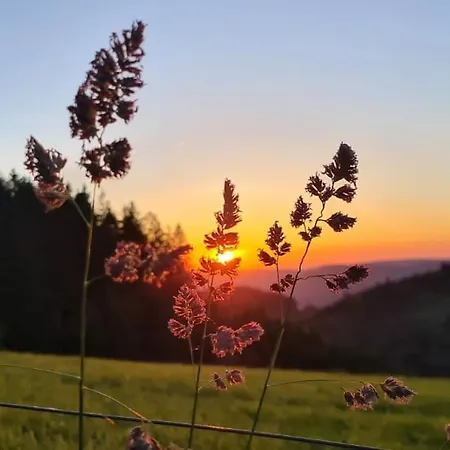 L'échapée Belle Dans Les Vosges