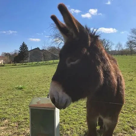 L'échapée Belle Dans Les Vosges Hébergement de vacances Aydoilles