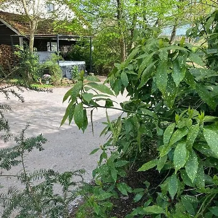 L'echapee Belle Dans Les Vosges Aydoilles