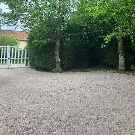 L'échapée Belle Dans Les Vosges