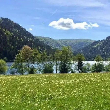 L'échapée Belle Dans Les Vosges