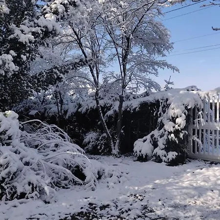 L'échapée Belle Dans Les Vosges