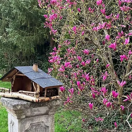L'echapee Belle Dans Les Vosges Aydoilles