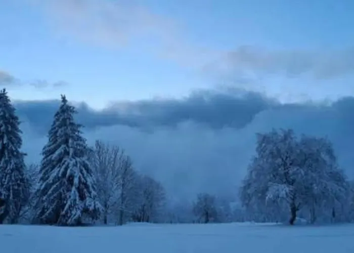 L'echapee Belle Dans Les Vosges