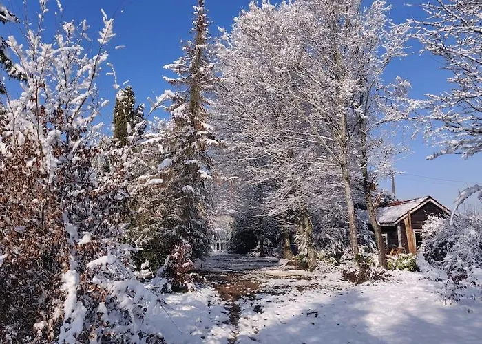 L'echapee Belle Dans Les Vosges * Aydoilles