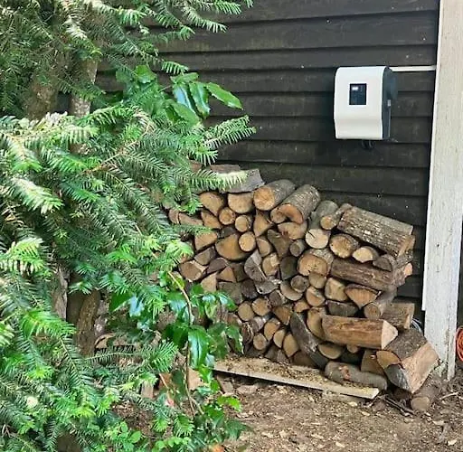 L'echapee Belle Dans Les Vosges *