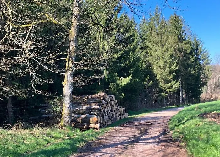 L'echapee Belle Dans Les Vosges Aydoilles