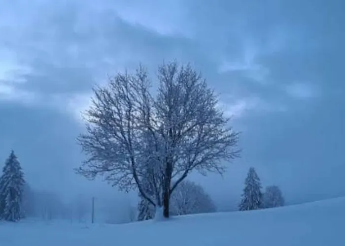 Дом отдыха L'echapee Belle Dans Les Vosges