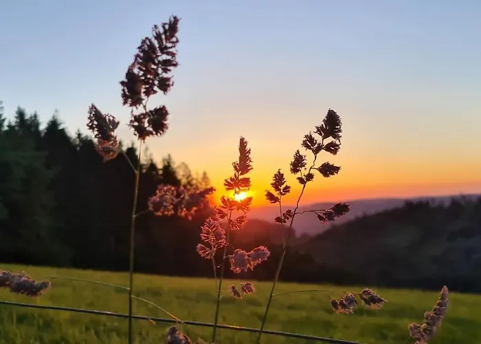 L'echapee Belle Dans Les Vosges