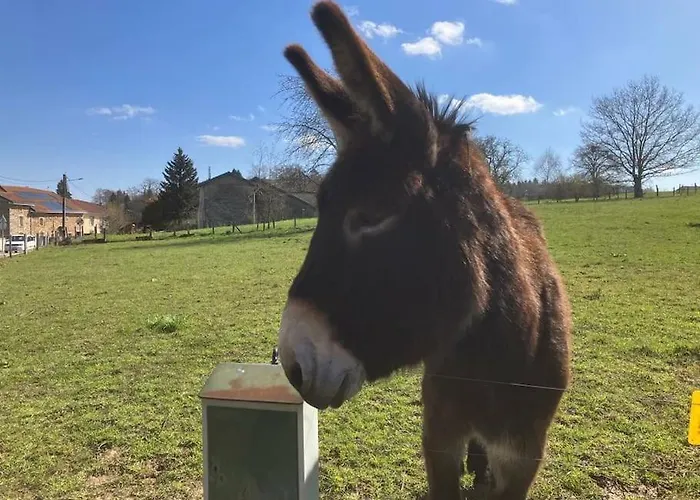 L'echapee Belle Dans Les Vosges Дом отдыха Aydoilles