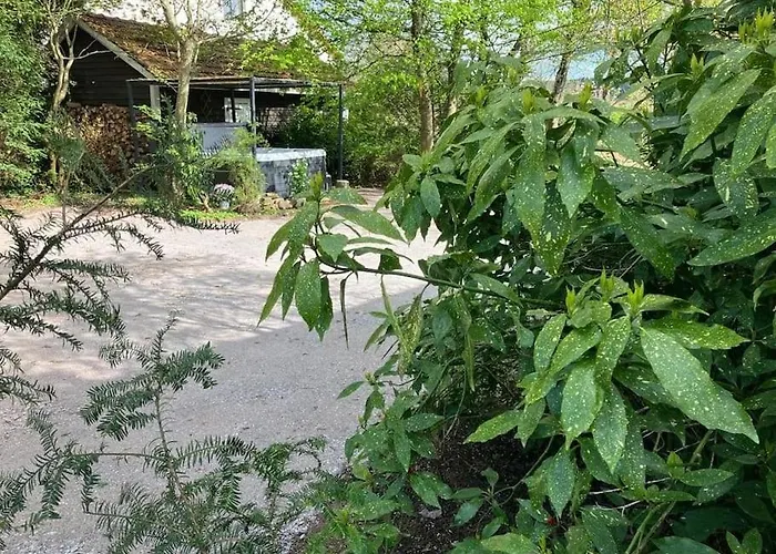 L'echapee Belle Dans Les Vosges Aydoilles