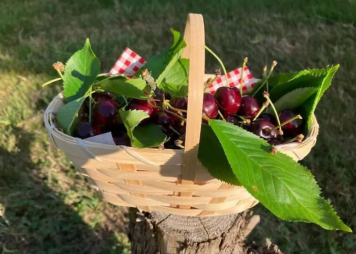 L'echapee Belle Dans Les Vosges Дом отдыха