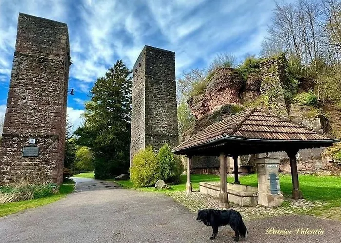 L'echapee Belle Dans Les Vosges Aydoilles