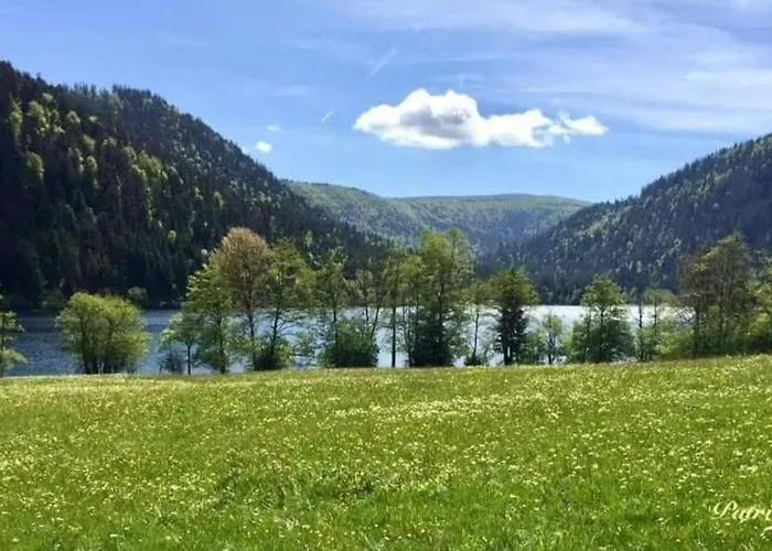 L'echapee Belle Dans Les Vosges