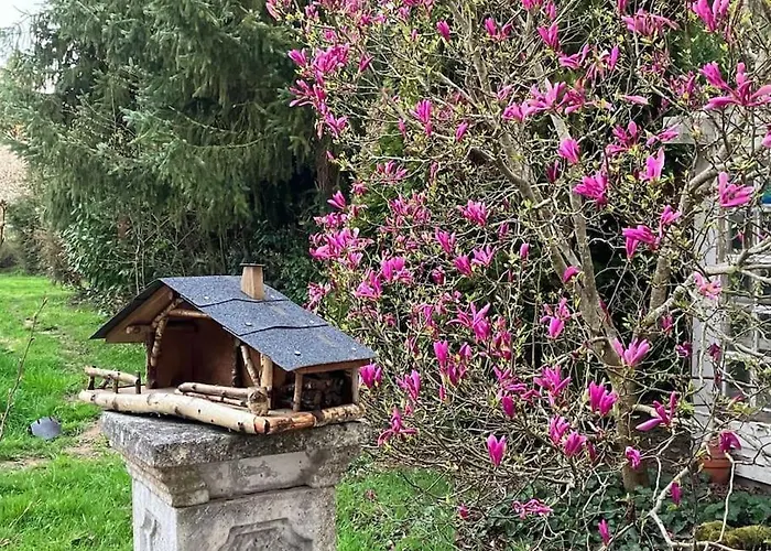 L'echapee Belle Dans Les Vosges Aydoilles